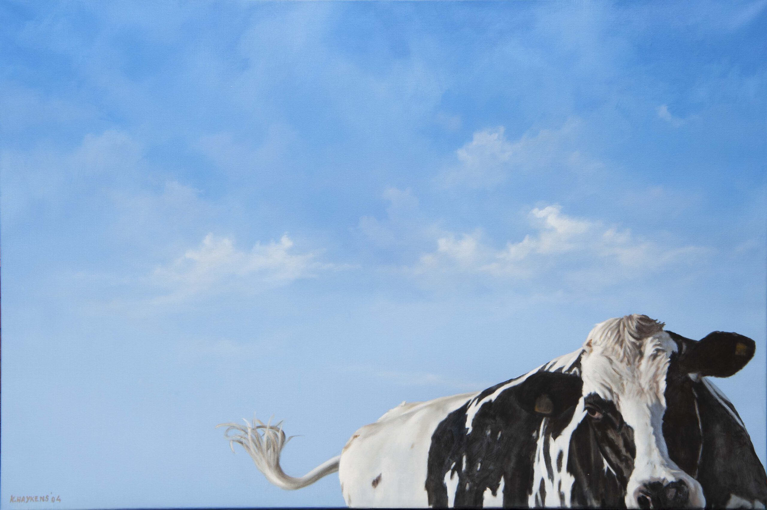 Koos Haijkens – Koe